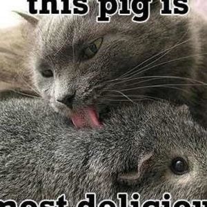 Meet your Posher, Dustin